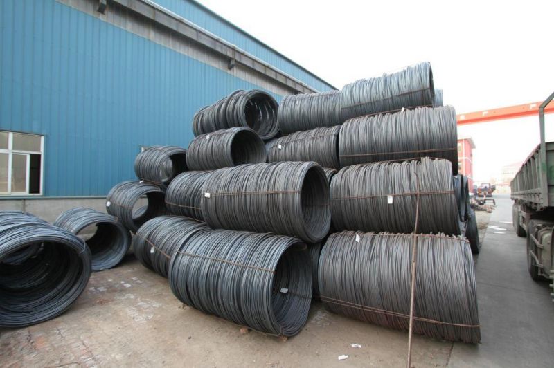 High Strength Iron Steel Wire Rod for Making Nails and Screws Steel Wire Rod