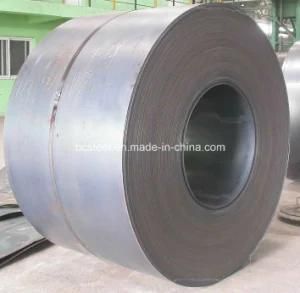 Hr Stee Coil, Steel Plate, Prime Hot Rolled Steel Coil
