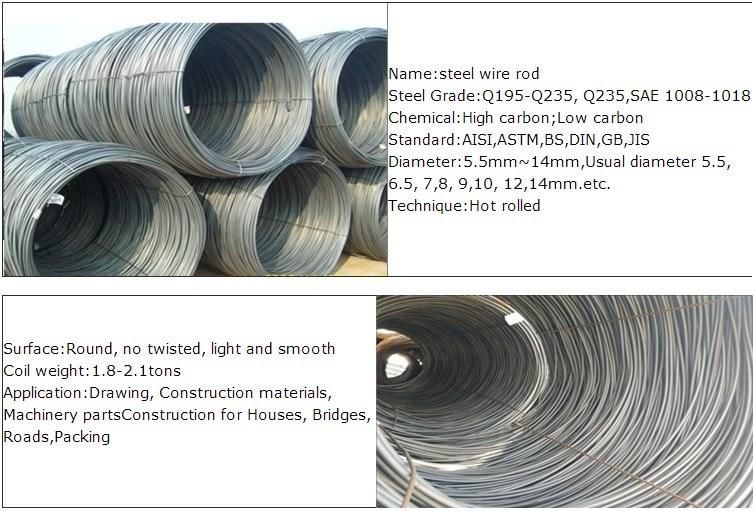SAE 1008 Low Carbon Hot Rolled Steel Wire Rod in Coil