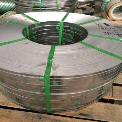 Professional Manufacturer Stainless Steel Strips AISI304L Grade