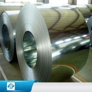 Hot Sale Hot Dipped Galvanized Steel Coil
