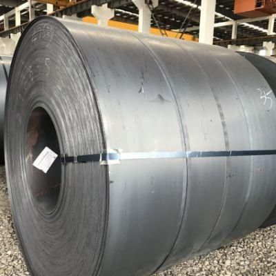 ASTM Ss400 Ss490 Factory Price Hot Rolled Used for Building Carbon Steel Coil