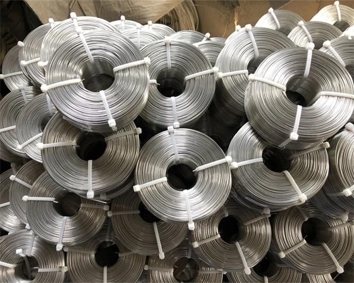 Manufacture Low Carbon Electro and Hot Dipped Galvanized Iron Wire for Fencing Wire and Binding Wire Best Price