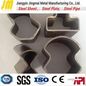 Deformed Carbon Steel Piping Direct From China Manufacturer