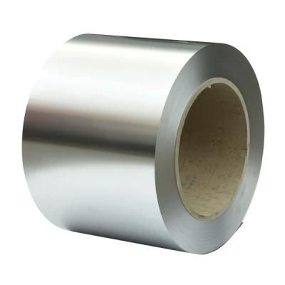 Austenitic Stainless Steel Strip for Springs (301, 304, 304L...)