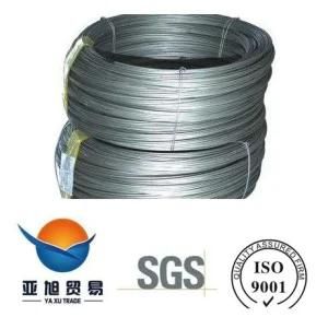 ASTM AISI Standard SAE 1006/1008/1010 Steel Wire Rod