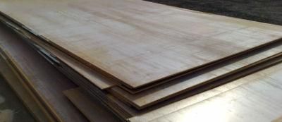 Hot Rolled Steel Plate/ Hot Rolled Wear Resistance Plate with Nm400/Nm500
