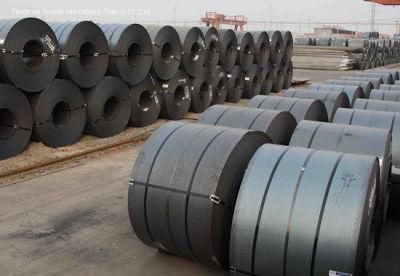 Hot Sell Cold Rolled Steel Sheet /Strips/Coil