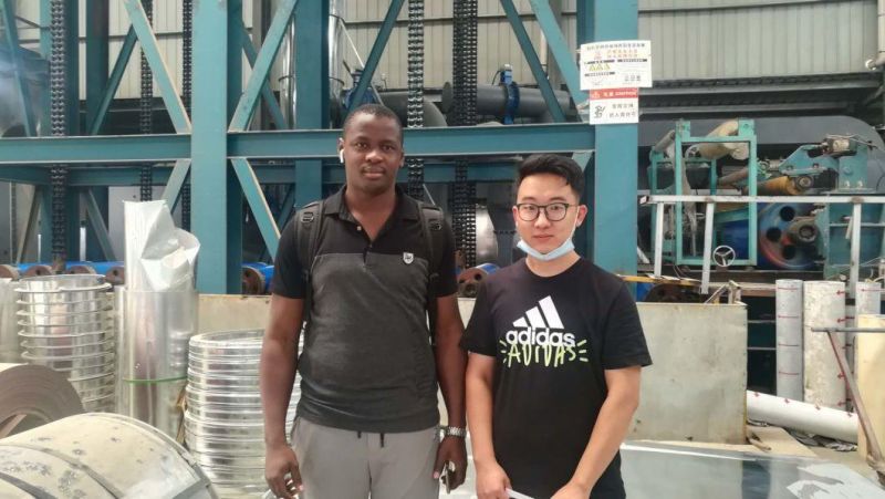HRB400 HRB500 Steel Reinforcing Rebars Iron Bar 6mm 8mm 10mm Steel Rebar Construction Rebars