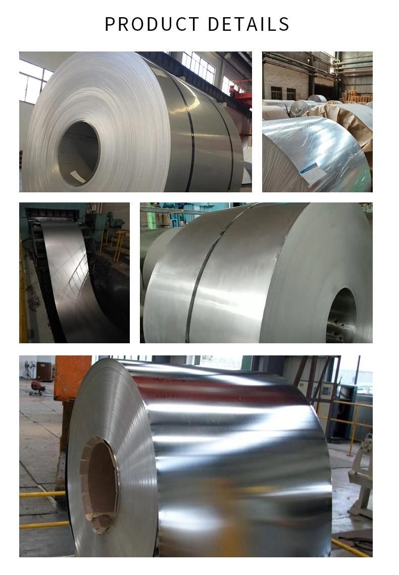 Golden Mr SPCC SPTE T3 T4 T5 ETP 0.2mm Electrolytic Tinplate TFS Tin Steel Sheet Coil