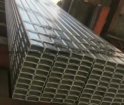 ERW Galvanized and Welded Square/ Rectangular Steel Pipe