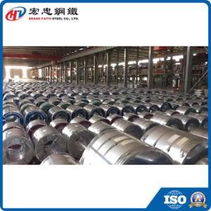 Galvanized Steel Coil &amp; Sheet for Building Materials, SGS Approved