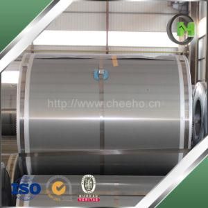 High Cost Effective W600 Electrical Steel Coil