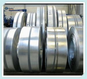 Hot Rolled 316 Stainless Steel Sheet Coil Galvanized Price