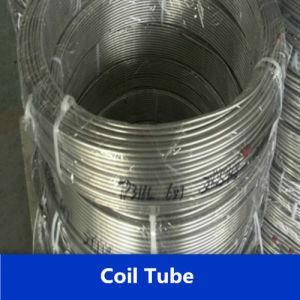 Stainless Steel Tube Coil for Condenser From China (316L)