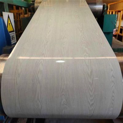 Pre-Painted Steel Coil/PPGI/Prepainted Steel Strip/Roof/Color Steel