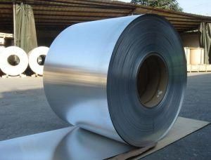 Galvanized Steel Coils/Hot Rolled Steel Coils