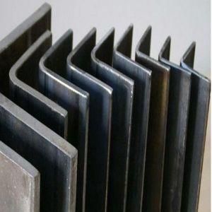 Hot Rolled Carbon Steel Equal/Unequal Angle Bar for Constructions