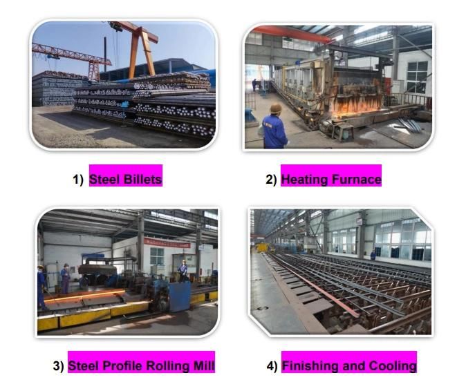 Customized Different Shapes Hot Rolled Q355b S355 S390 En10025 A656m/A529m G3135 Car Door Hinge Profile Steel Special Steel Profile