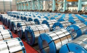 Cold Rolled Steel Coil All Size SPCC Coil