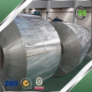 EN10202 5.6/5.6 GSM T3 (T57) Batch Annealed 0.27mm Prime Electrolytic Tinplate SPTE