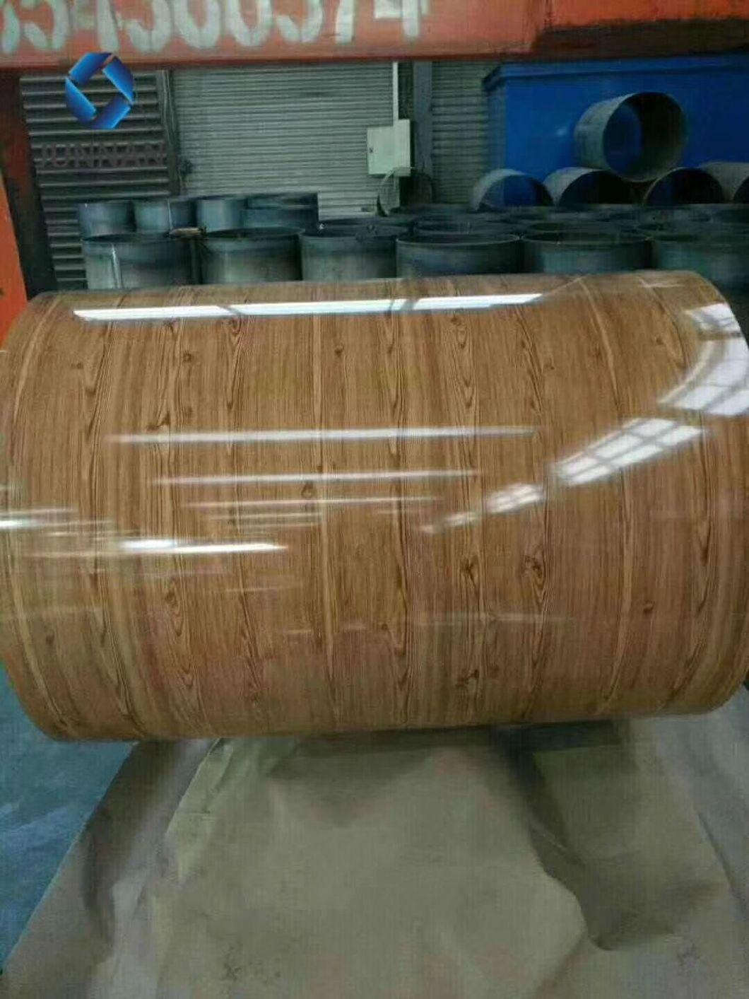 PPGI Coil Painted Coil, Steel Coil