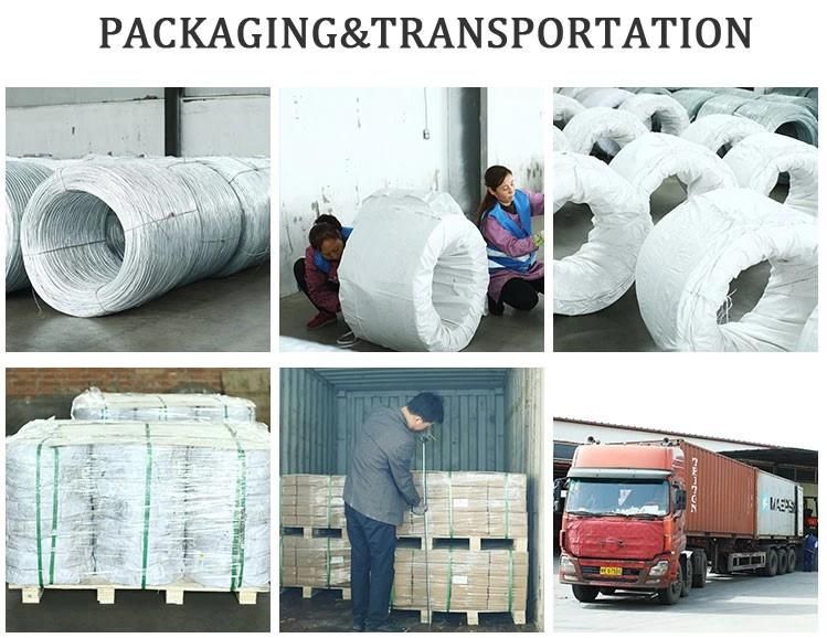 Chinese Supplier 0.8-4.5mm Gi Iron Wire Galvanized Steel Wire for Greenhouse