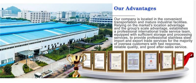 En S235jr S355jr 201 303cu 304 304L Hot Rolled Low Carbon Building Structural Angle Steel Bar/Angle Iron