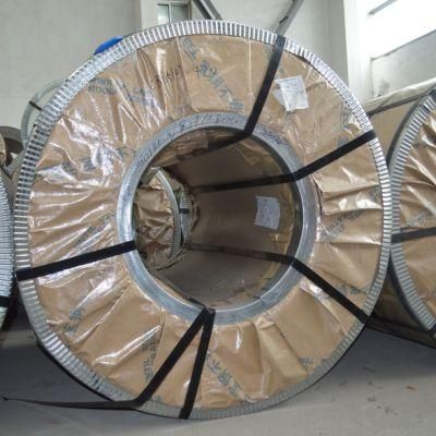 Hot Sales Decorative SUS 316L 904L 310S No1 Finish Stainless Steel Coils