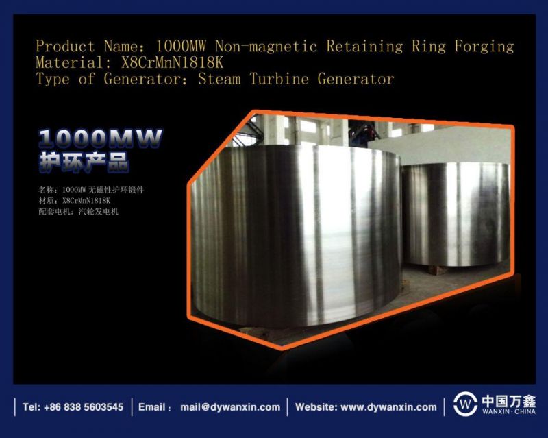 1mn18cr18n Non-Magnetic Stainless Steel Retaining Rings for Generator