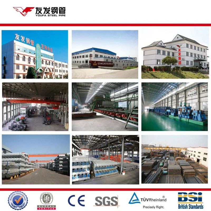 China Factory Ga/Gp/Gi/Gl/PPGL/PPGI/HDG/Galvanized Steel Coils