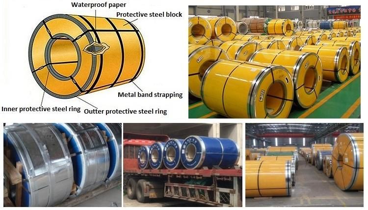 Galvanized Stainless Steel Coil for Sale
