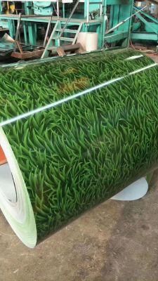 Top Quality Grass Pattern Color Coated Steel Coils