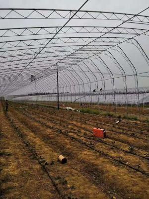 Pre Galvanized and Hot DIP Galvanized Steel Pipe for Greenhouse