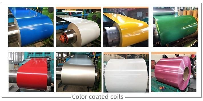 Cheap Price Jisg3302 SGCC Secc Dx51d DC01 G90 Z275 Cold Rolled Zinc Coated 0.2mm 0.3mm Iron Sheet Gi Steel Sheet in Coil Hot DIP Galvanized Coil