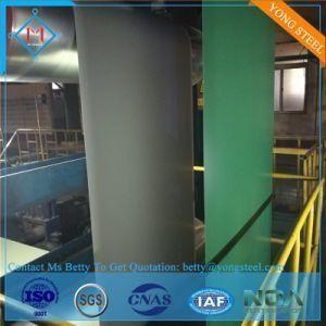 Prepainted Gi Steel Coil