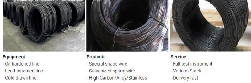 Hot Selling Low Carbon Spring Black Coil Drawn Steel Wire