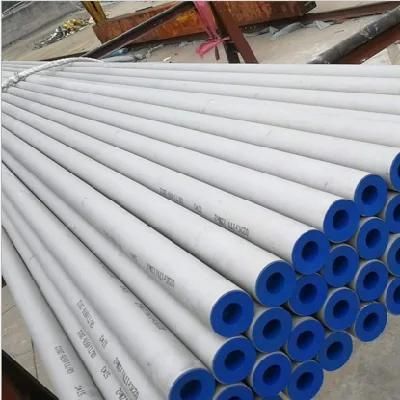 Food Grade 304 304L 316 316L 310S 321 Seamless Stainless Steel Tube Ss Pipe