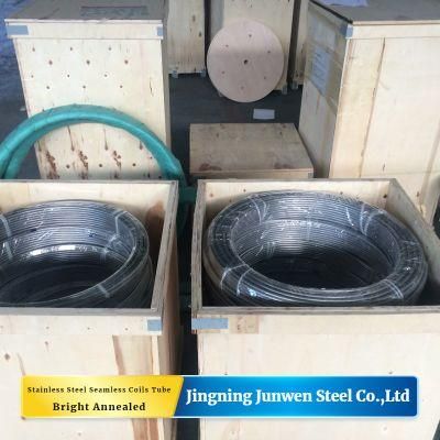 Brilliant Annealed Stainless Steel Seamless Coils Tube