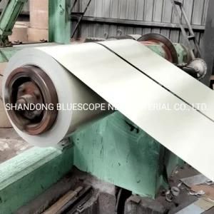 Ral Clolor White Color Steel Strip 0.1-2.0mm PPGI Prepainted Steel Coil Gi Steel Coil PPGI PPGL Dx51d Z275 Prepainted Galvanized Steel Coil