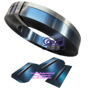 SAE 1075 Blue Tempered Steel Strip