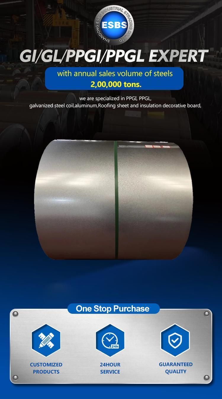 Building Materials High Quality Ral9010/9016/9011/5005 Color Coated PPGI Steel Coils