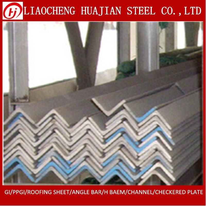 Equal and Unequal Angle Steel Bar for Iron Gate Design