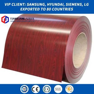 Color Coated PPGI for Steel Coil/Building/ Roofing Sheet