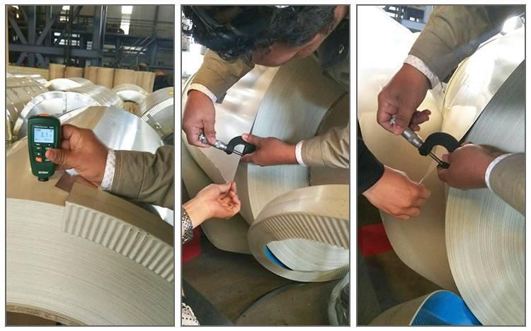 Width 1000mm White Color Steel Coil PPGI Coil