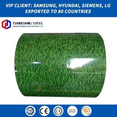 Color Coated Ral Prepainted Galvanized Steel Coil PPGI