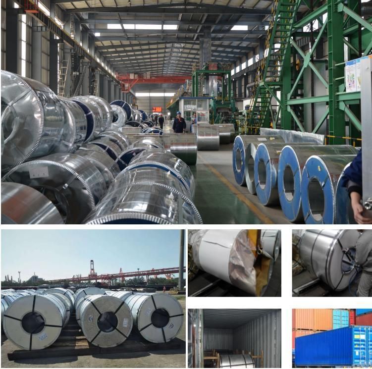 Galvanized Steel Sheet /Coil/Strip Roofing Sheets Raw Material Galvanized Steel Coil