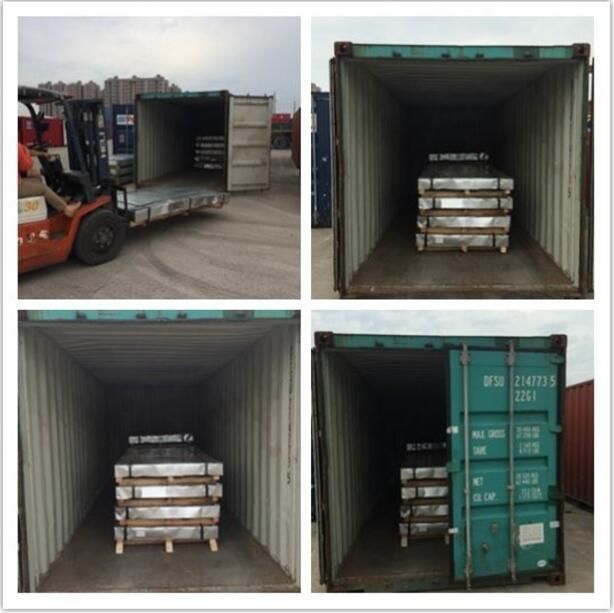 Cold Rolled Steel Coils/Flat Plain Sheet