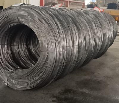 Mill Standard Sizes Q195 Low Carbon Galvanized Steel Wire Price Philippines