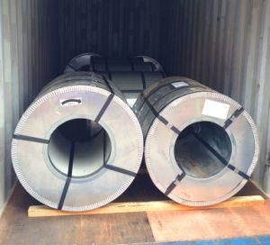 Big Flower Galvanized Steel in Coils